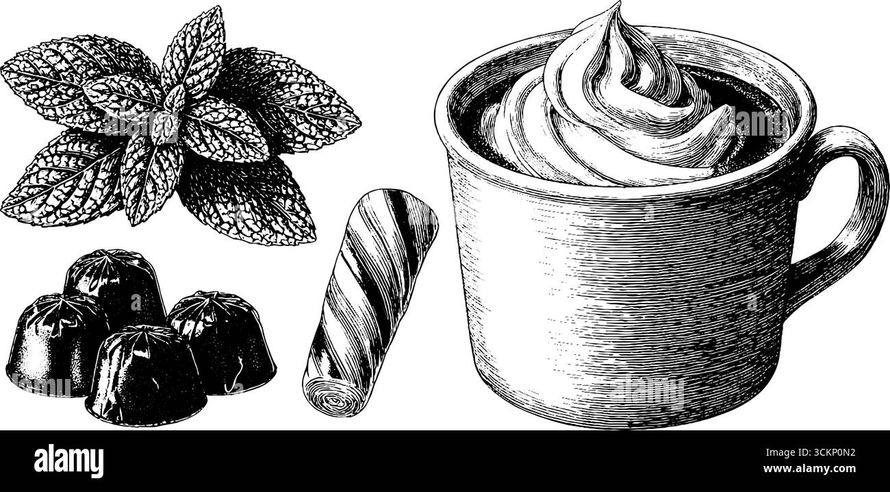 Bonbons à la menthe poivrée vintage et illustrations gravées de boisson chaude pour la conception. Illustration de Vecteur