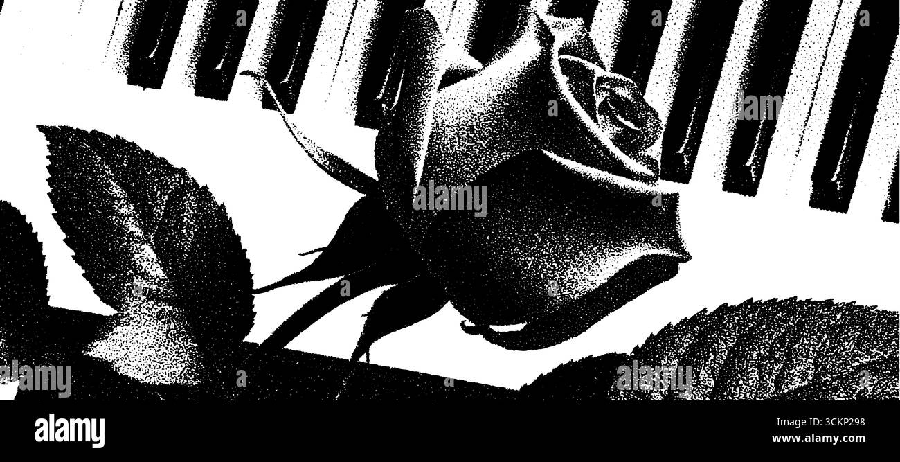 annetdebar gravure vintage pointillés et texture demi-teinte i 5ba5e505-f4c8-42f7-9a54-86fd36fa3799 2 tracés Illustration de Vecteur