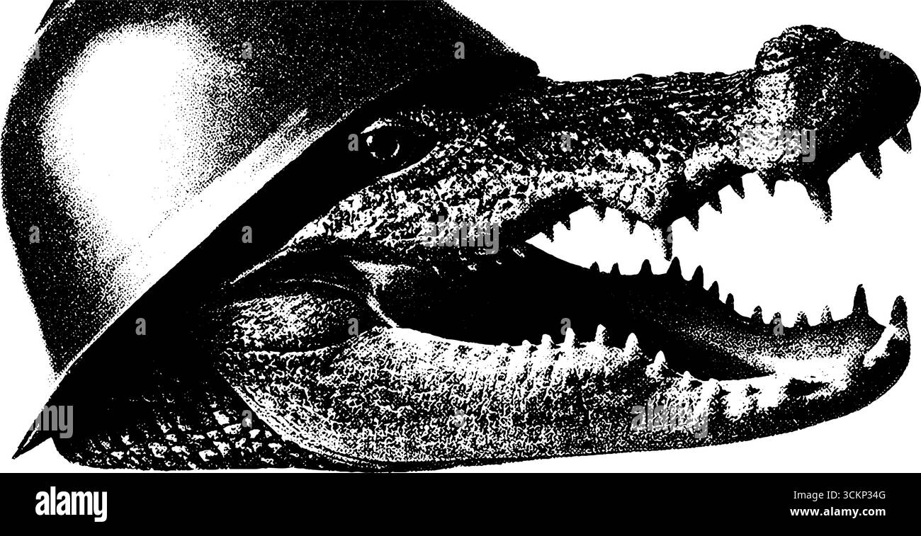 annetdebar gravure vintage pointillés et texture demi-teinte i 6bac69a2-9abb-4164-8e7c-bf37bfbfd113 2 tracés Illustration de Vecteur