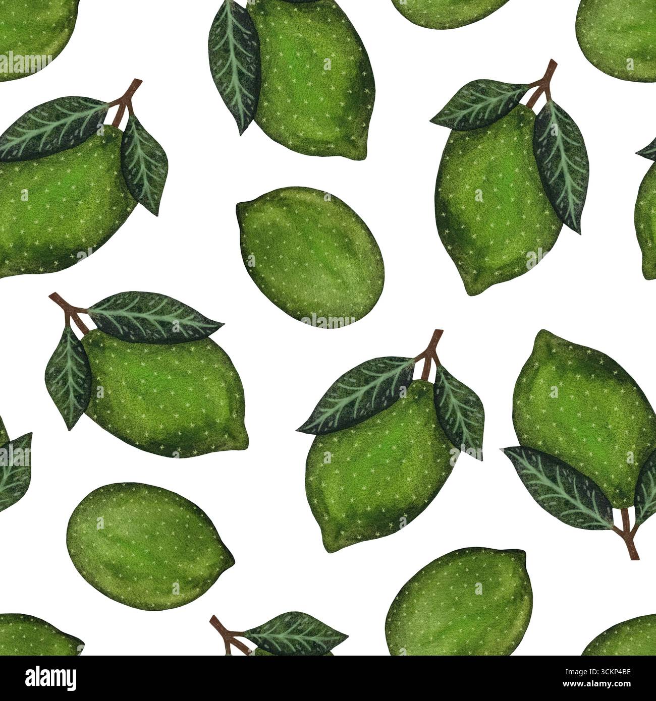 Motif aquarelle sans couture. Limes entières avec des feuilles sur fond blanc. Parfait pour les designs d'été, les illustrations fraîches, les projets dynamiques. Main Banque D'Images