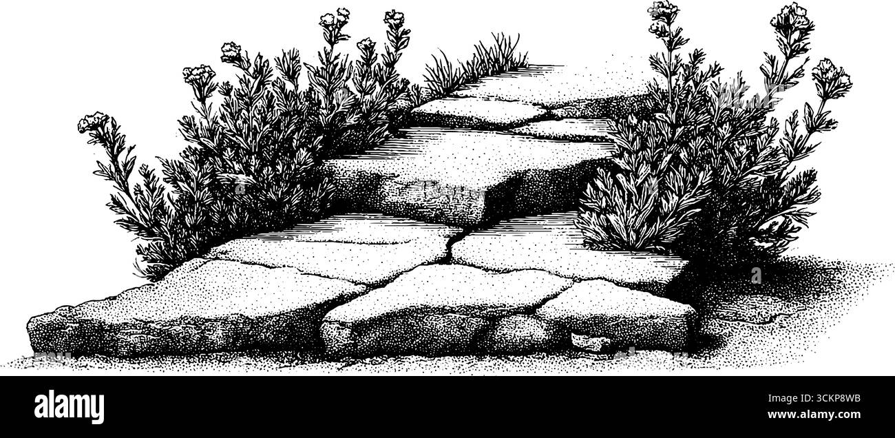 Sentier de dalles fissurées avec des mauvaises herbes et des fleurs sauvages qui germent le long de la passerelle naturelle du jardin. Illustration de Vecteur