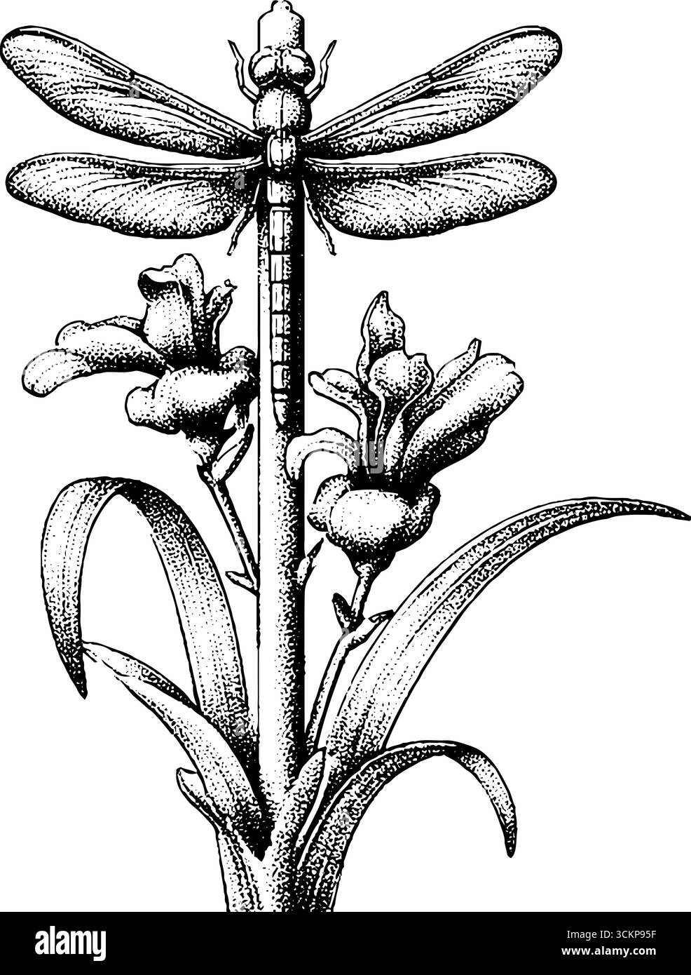 Sculpture complexe de libellule en métal sur la scène de jardin floral pour un décor extérieur. Illustration de Vecteur