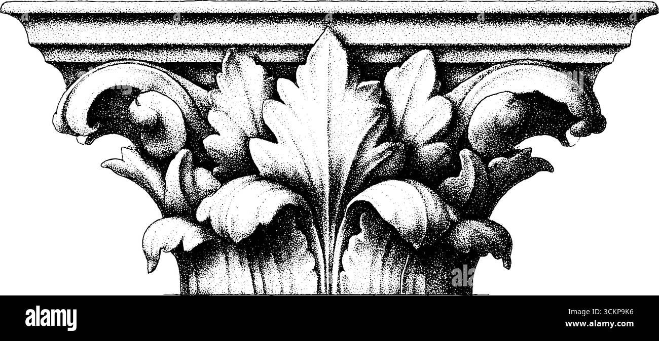 Frise néoclassique ornée d'un motif anthématique en pointillés pour un design décoratif. Illustration de Vecteur