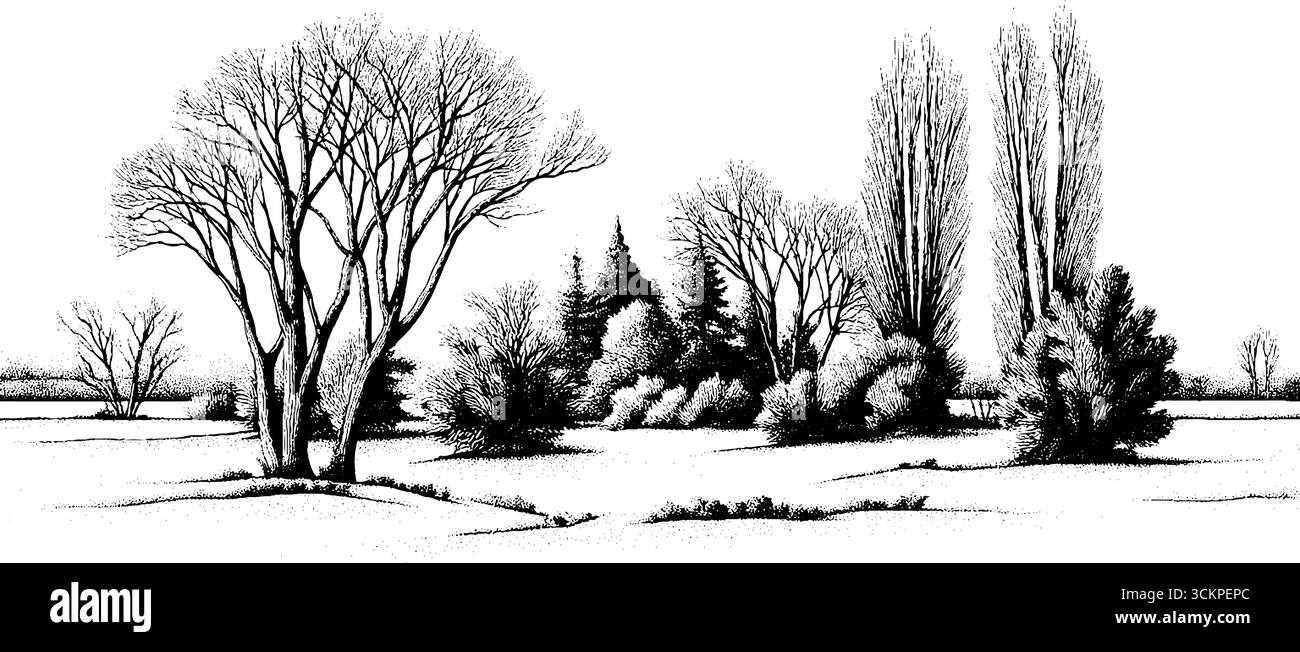 Champ givré à l'aube avec souffle visible dans le matin froid. Illustration de Vecteur