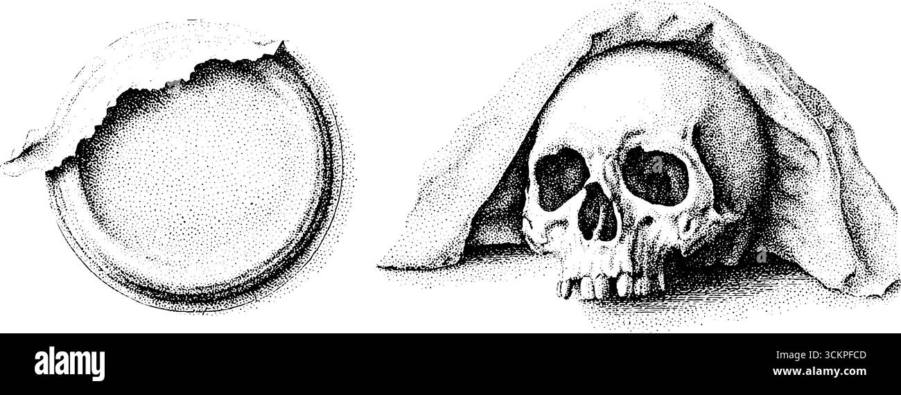 Crâne complexe avec drapé et plaque rivetée art pour un décor unique. Illustration de Vecteur