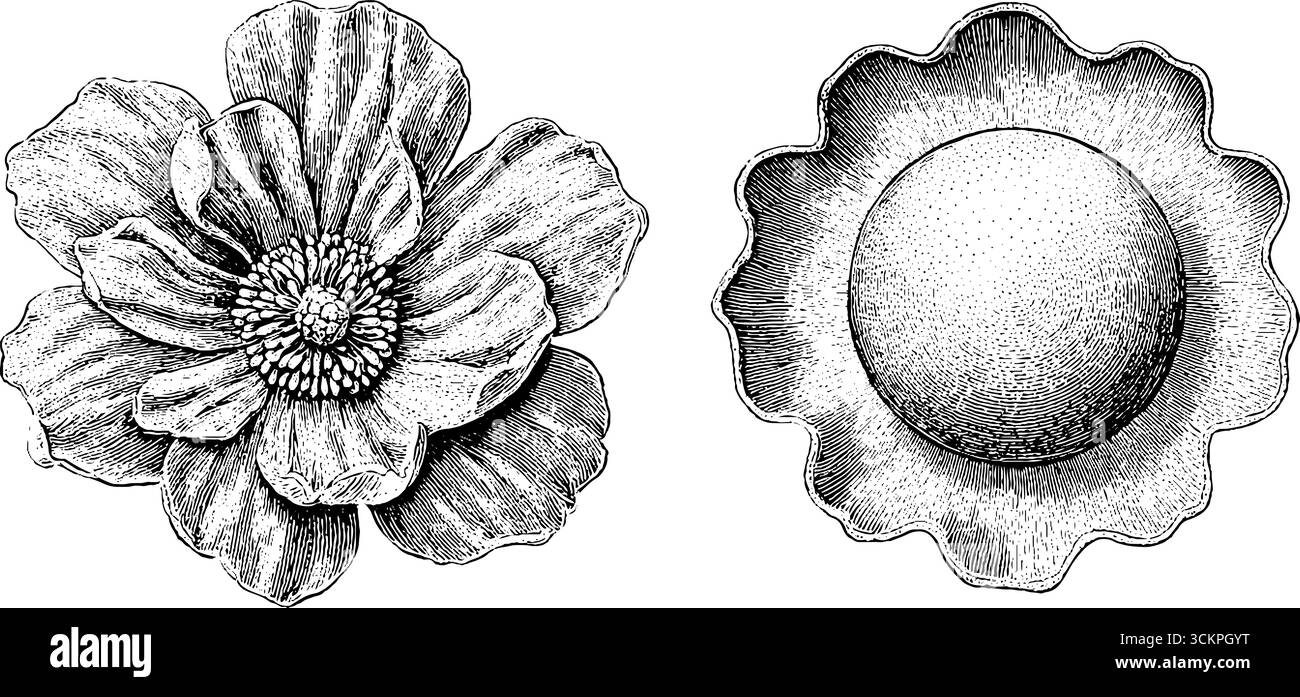 Puissance de fleur rétro groovy et design de tranche de disque vinyle pour les projets vintage. Illustration de Vecteur