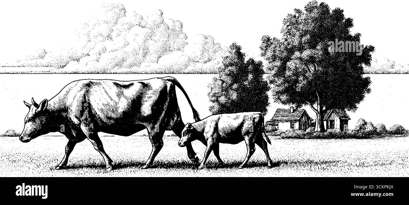 Scène pastorale avec des vaches qui paissent dans une prairie de fleurs sauvages avec des fermes et des arbres. Illustration de Vecteur