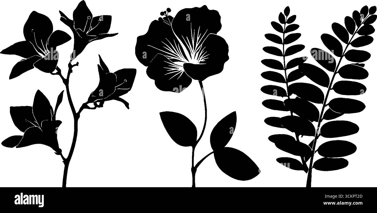 Silhouette élégante de fleurs de bougainvilliers et jacaranda pour l'art et le design. Illustration de Vecteur