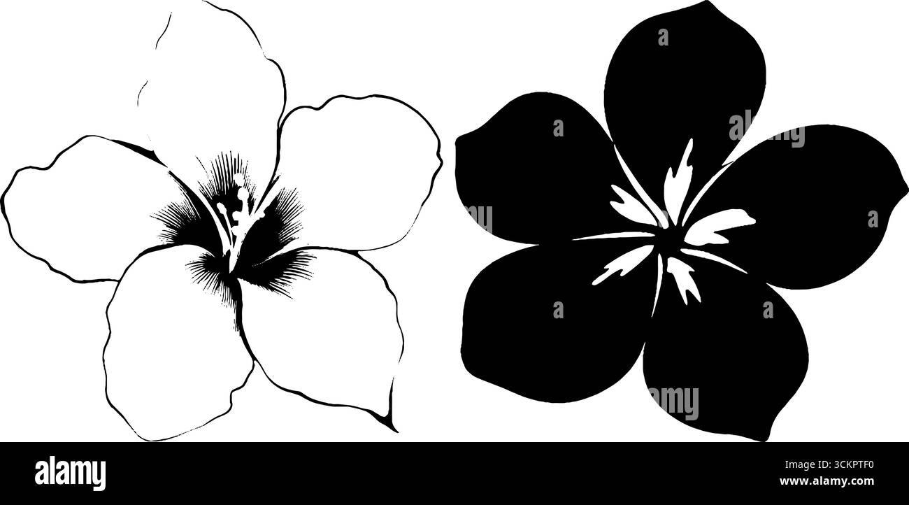 Silhouettes d'orchidée et de fleurs d'hibiscus pour le design botanique et la décoration. Illustration de Vecteur