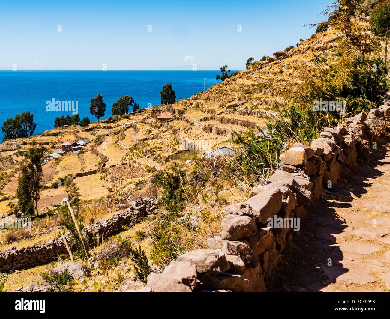 Paysage pittoresque des hautes terres de l'île de Taquile avec champ en terrasses jaune contrastant avec les eaux bleues du lac Titicaca, région de Puno, Pérou Banque D'Images