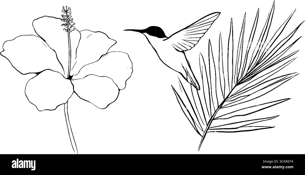 Élégant dessin au trait de colibri avec hibiscus et feuille de palmier pour des motifs inspirés de la nature. Illustration de Vecteur