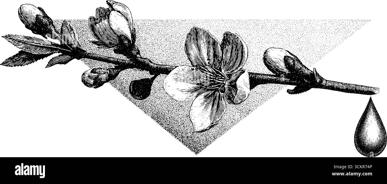 Fleurs de cerisier et gouttes de pluie dans un design minimaliste pour des couleurs inspirées de la nature Illustration de Vecteur