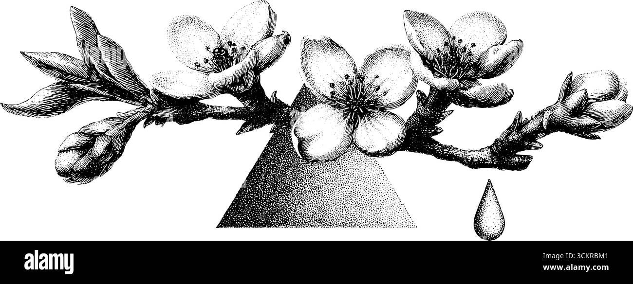 Fleurs de cerisier et gouttes de pluie dans un style épuré pour des styles inspirés de la nature Illustration de Vecteur