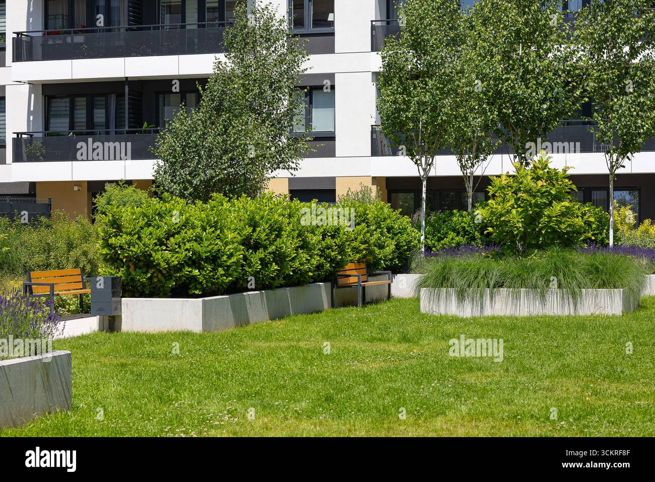 Cour résidentielle moderne avec aménagement paysager avec pelouse verte, buissons décoratifs, arbres, bancs et jardinières en béton Banque D'Images