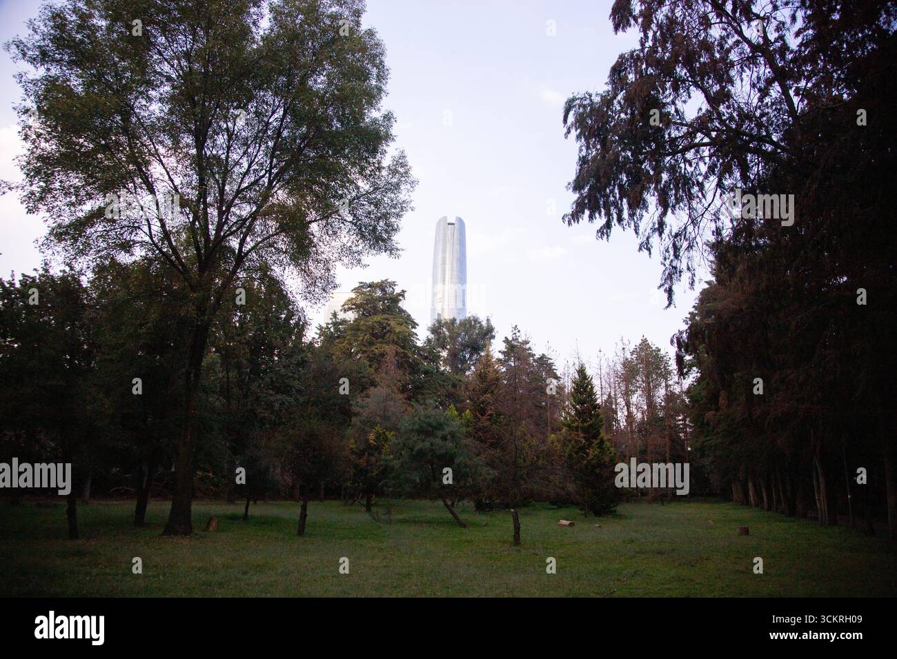 Le parc Viveros de Coyoacán est l'un des parcs les plus anciens et les plus importants de Mexico. Banque D'Images