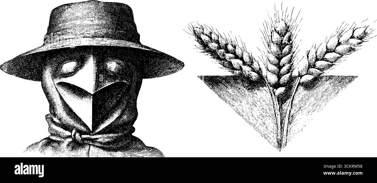 Gravure vintage d'épouvantail et de tiges de blé pour un design rustique ou un décor de ferme. Illustration de Vecteur