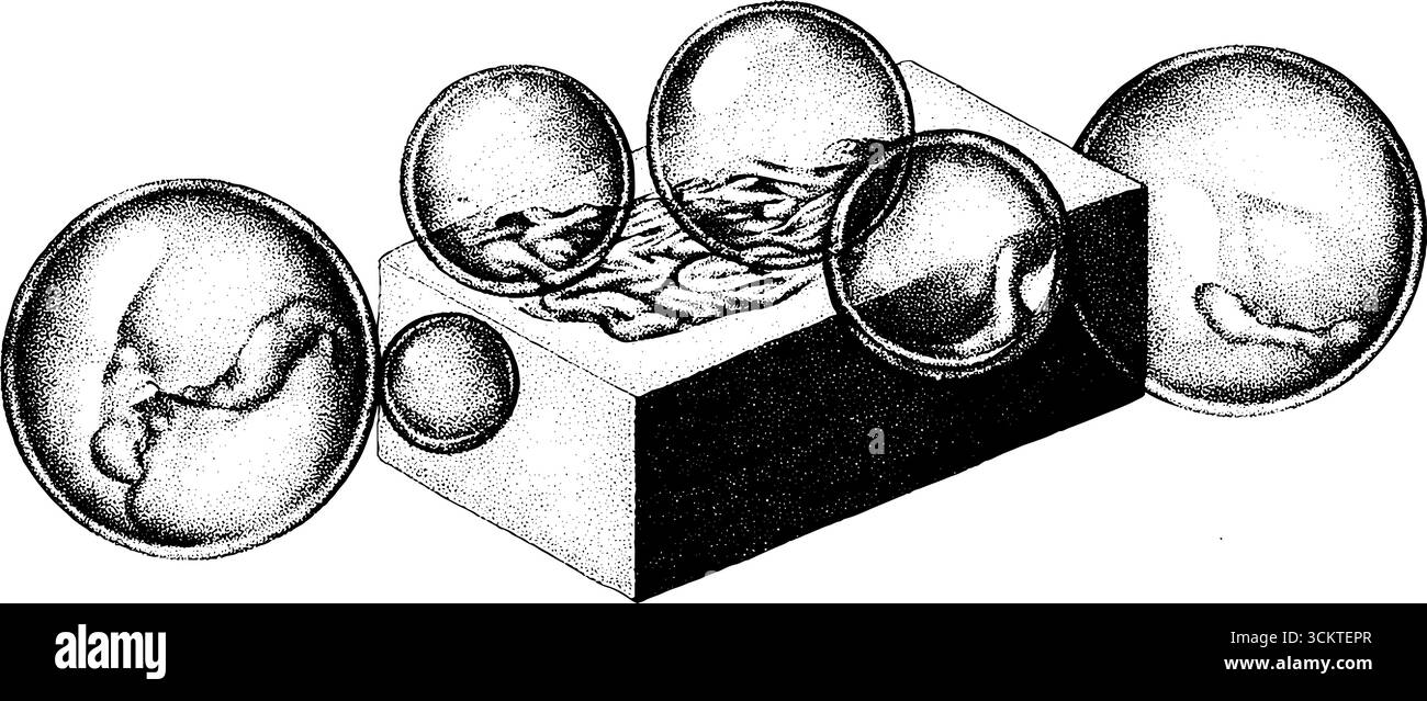 Barre de savon Dotwork avec design de style tatouage bulles pour l'inspiration artistique. Illustration de Vecteur