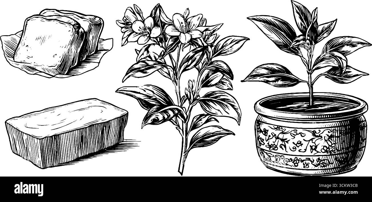 Ensemble de scones beurrés avec marmelade et illustration de plantes à fleurs pour culinaires Illustration de Vecteur