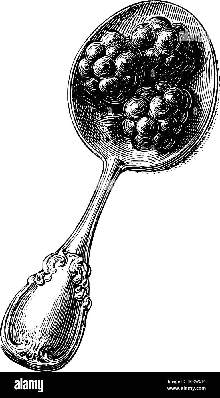 Cuillère vintage avec caviar dans le style de gravure pour l'art culinaire et le design. Illustration de Vecteur