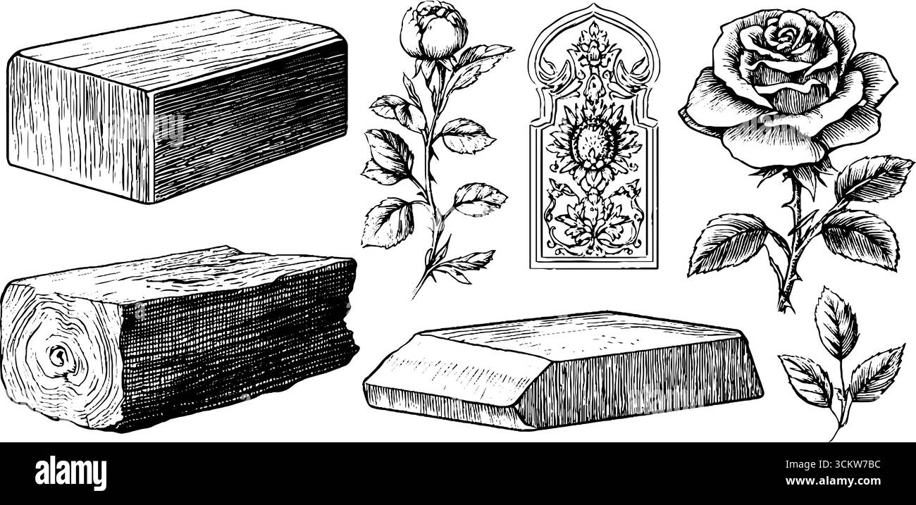 Éléments de conception fonctionnalistes avec crête linéaire et motifs botaniques de forme ouverte pour des projets artistiques. Illustration de Vecteur