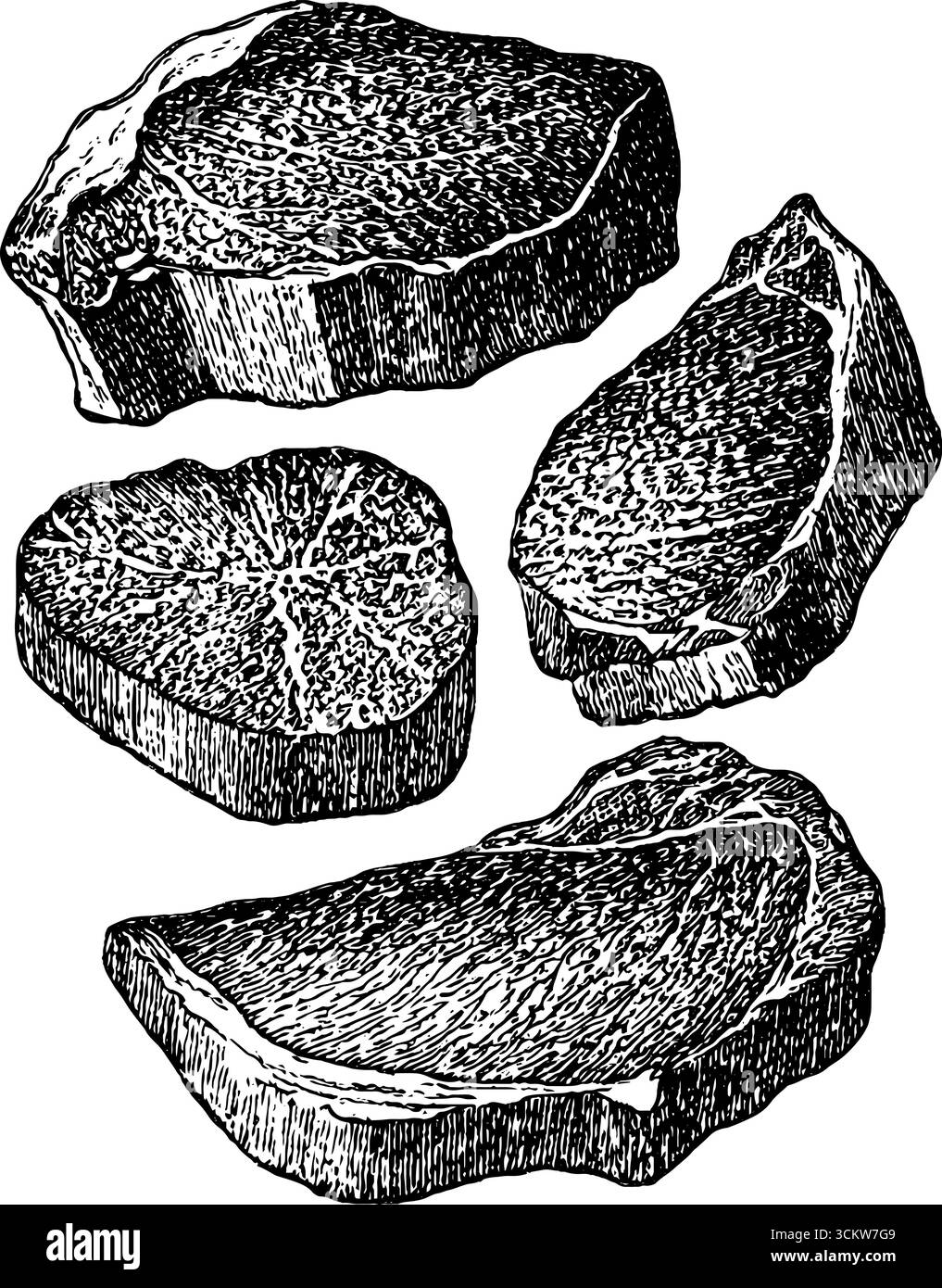 Diagramme de coupe de bœuf de style gravure vintage pour l'éducation culinaire et la décoration de cuisine. Illustration de Vecteur