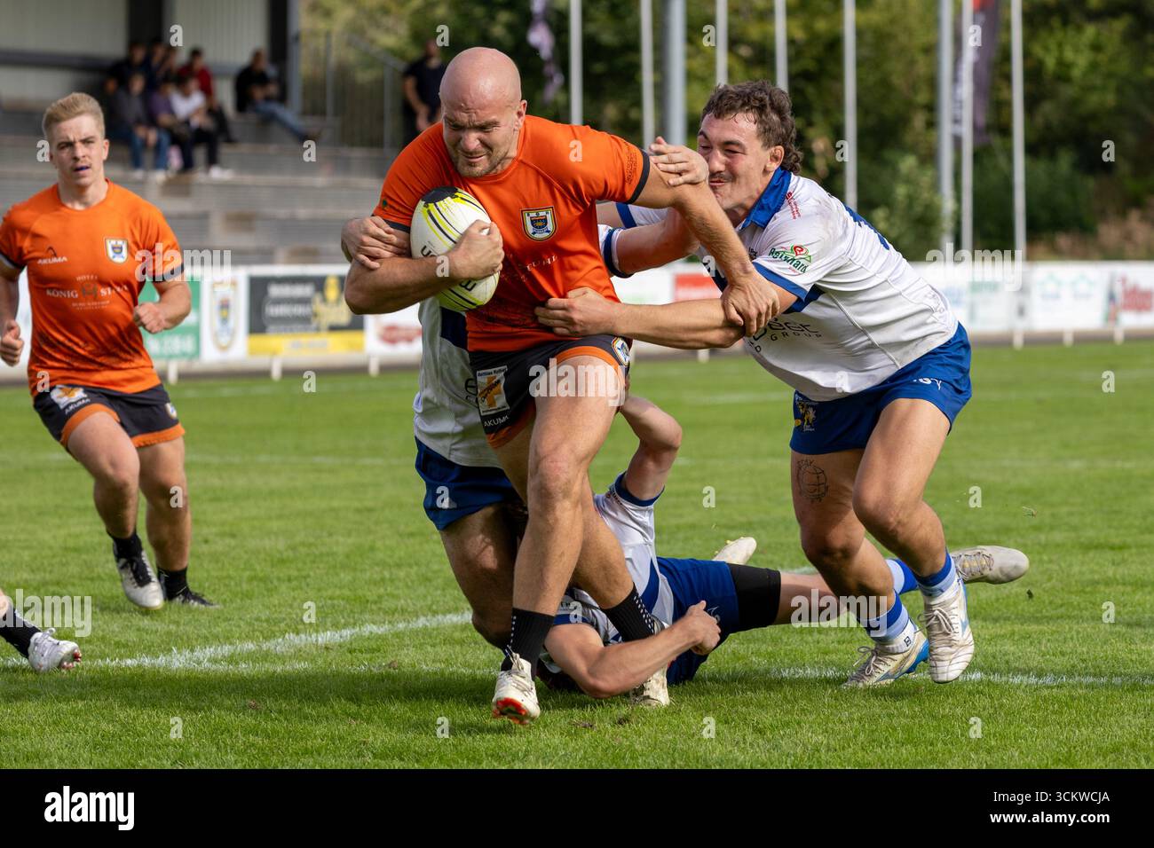Rugby Bundesliga, saison 2025/26, 2. Spieltag : Rg Heidelberg gegen TSV Handschuhsheim Banque D'Images