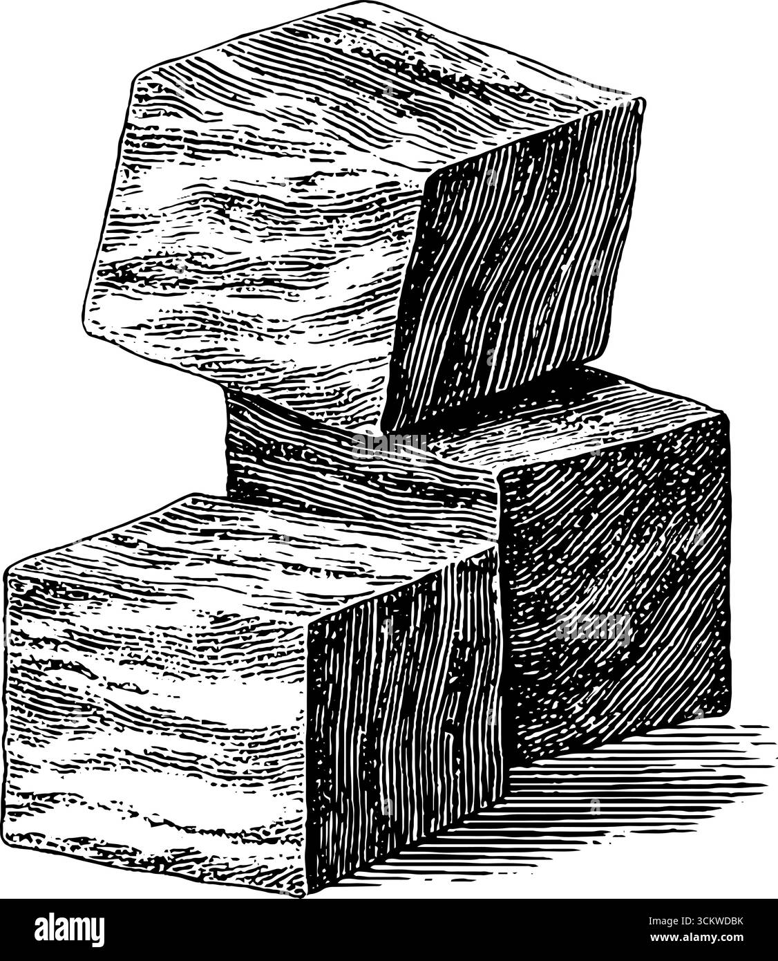 Gravure vintage de cubes de carottes cuites dans un style artistique détaillé. Illustration de Vecteur