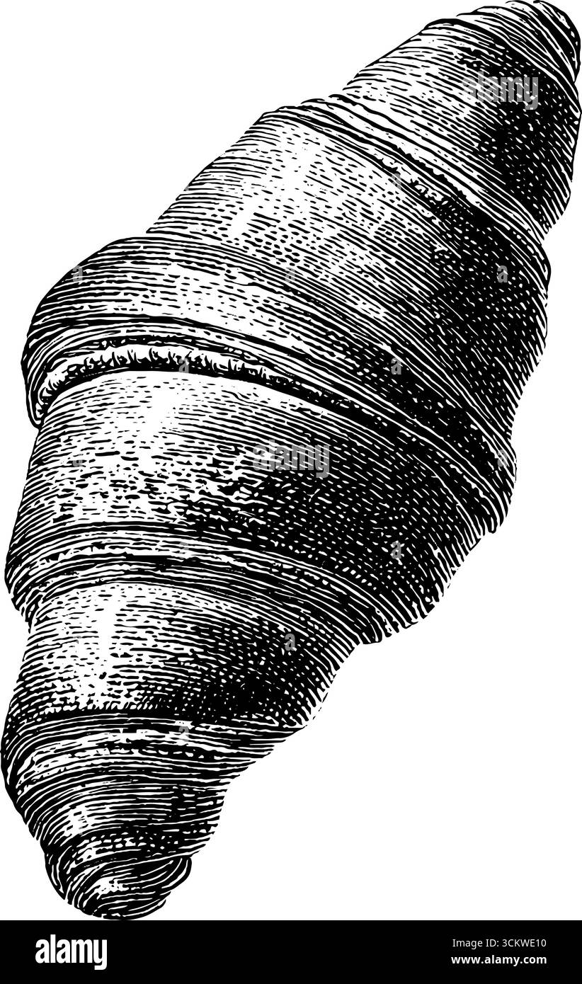 Gravure de croissant vintage dans un style classique pour l'art et le design. Illustration de Vecteur