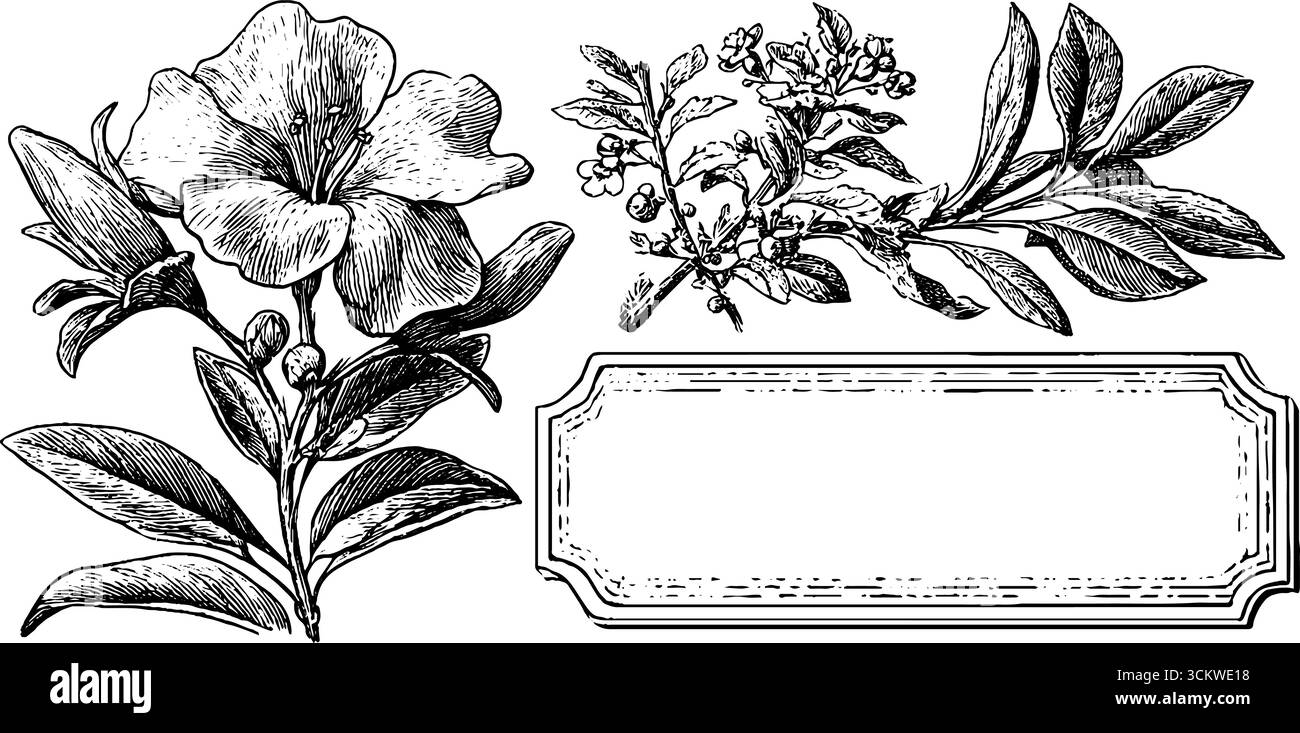 Motifs floraux vintage avec signe de magasin d'horloger et panneau d'étiquette coupé à la main pour une utilisation décorative. Illustration de Vecteur
