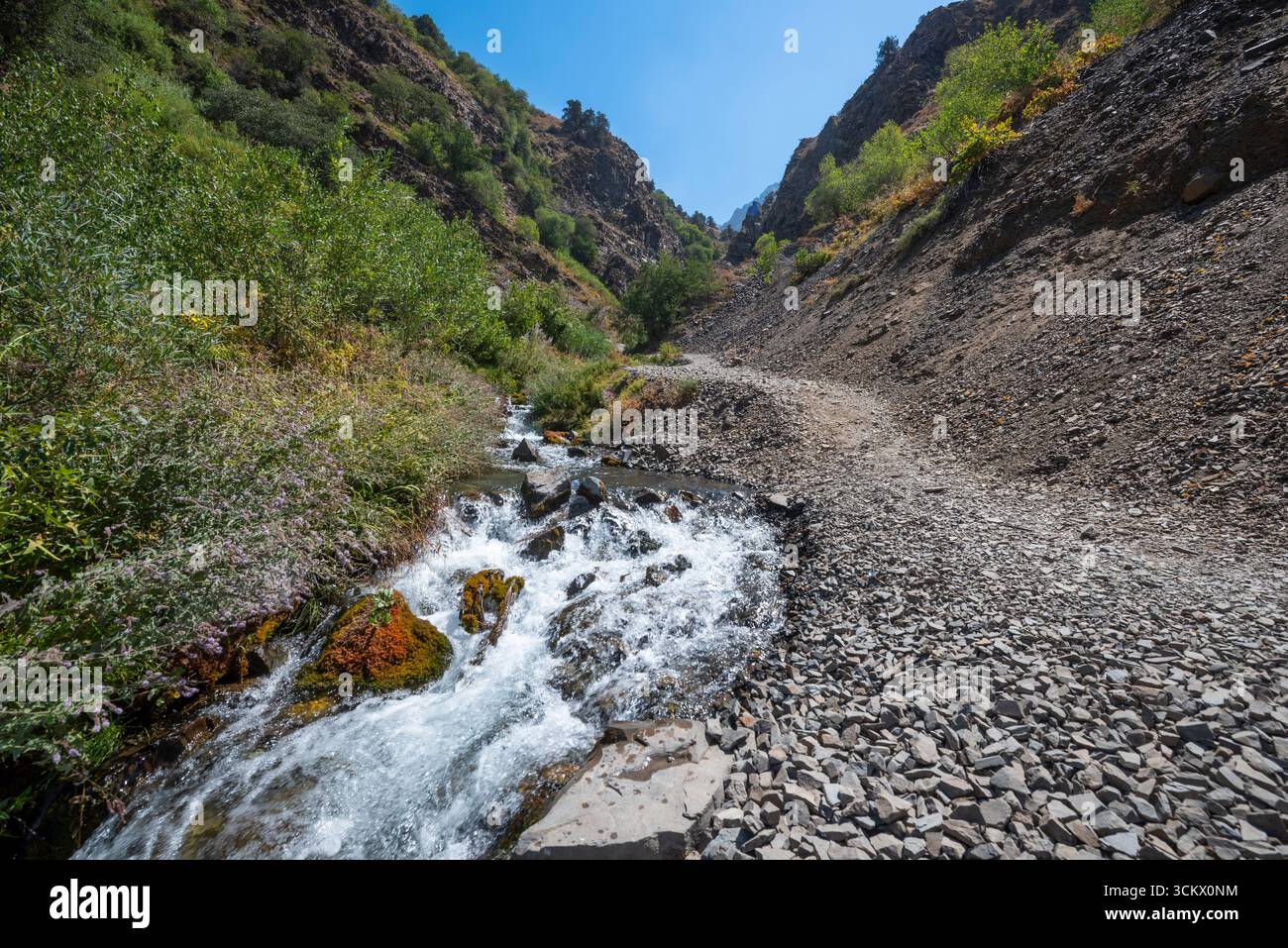 Petit ruisseau des collines au nord et à l'ouest de Tachkent, Ouzbékistan, près de Charvoq. Banque D'Images