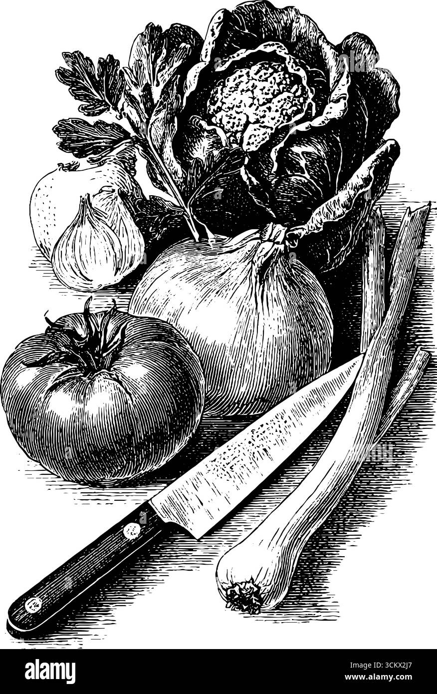Scène de découpe de légumes vintage avec couteau sur planche de bois. Illustration de Vecteur