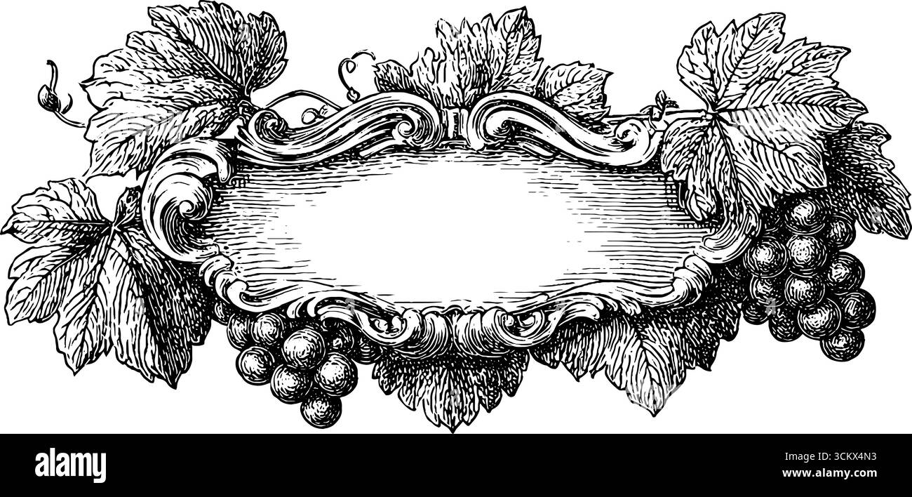 Panneau baroque vintage avec feuilles d'acanthus et raisins pour un design classique. Illustration de Vecteur