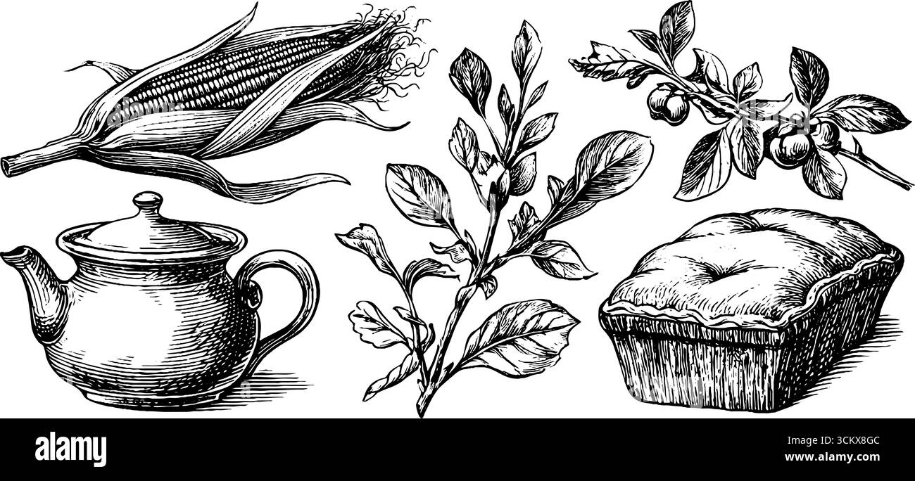 Maïs colonial, cave à racines gothiques et éléments de récolte pour la conception. Illustration de Vecteur