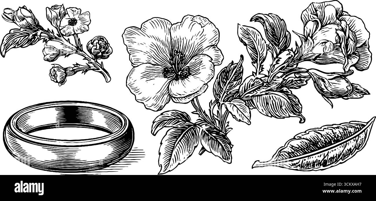 Illustration botanique vintage avec anneau de fleurs séchées et éléments de vase en verre antique. Illustration de Vecteur