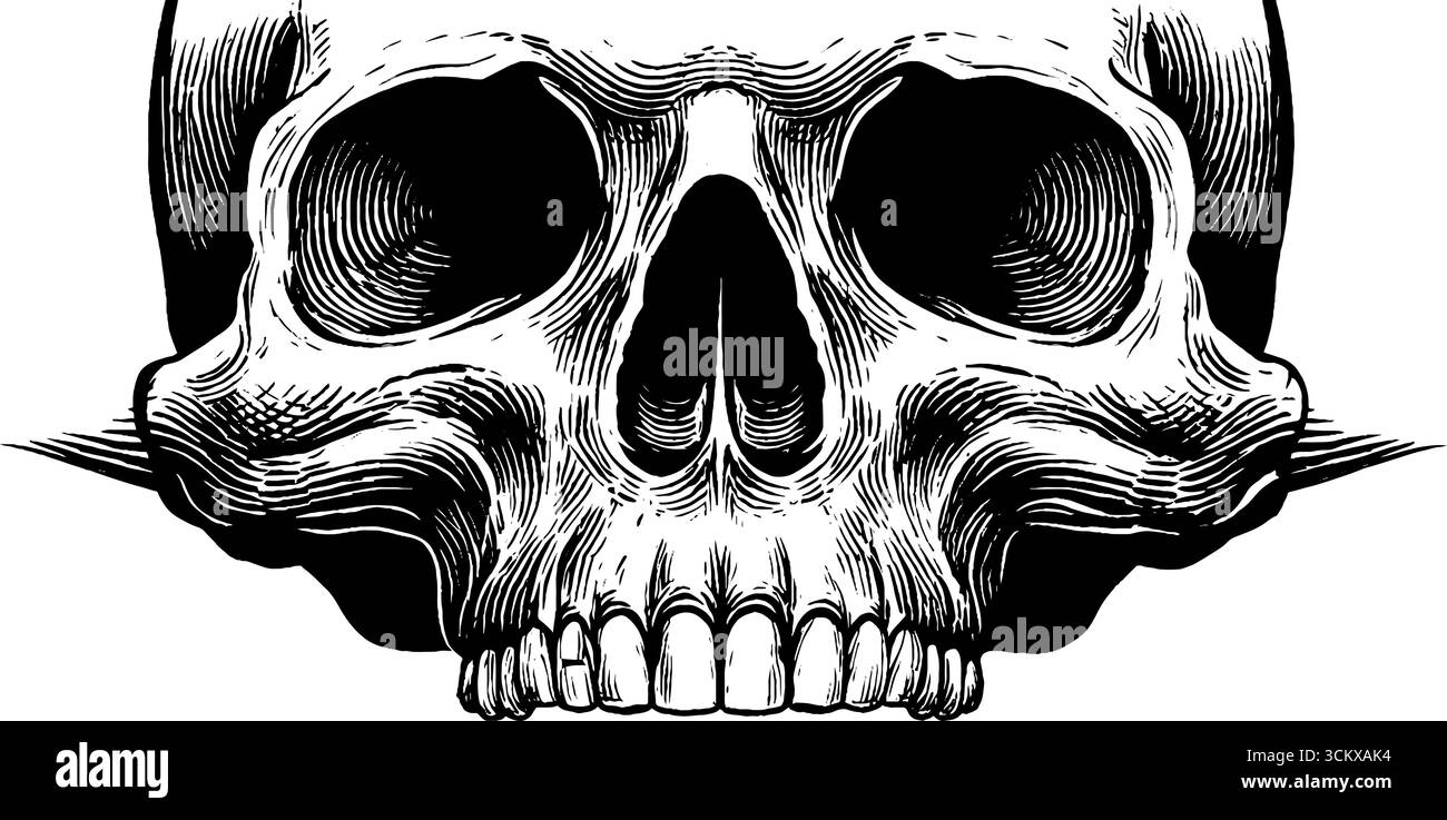Illustration anatomique d'un crâne d'enfant avec dents en développement en noir et blanc. Illustration de Vecteur Illustration anatomique d'un crâne d'enfant avec dents en développement en noir et blanc. Illustration de Vecteur