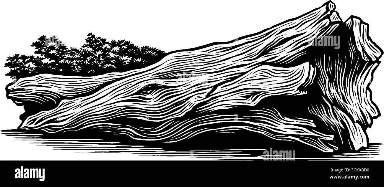 Surface d'écorce texturée avec bandes de pelage et rainures sombres pour la conception de la nature. Illustration de Vecteur