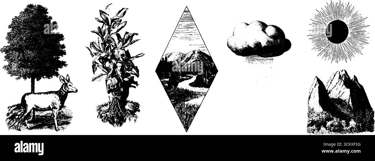 Ensemble de poly art bas inspiré de la nature avec des éléments d'arbre, d'animal, de nuage et de montagne. Illustration de Vecteur