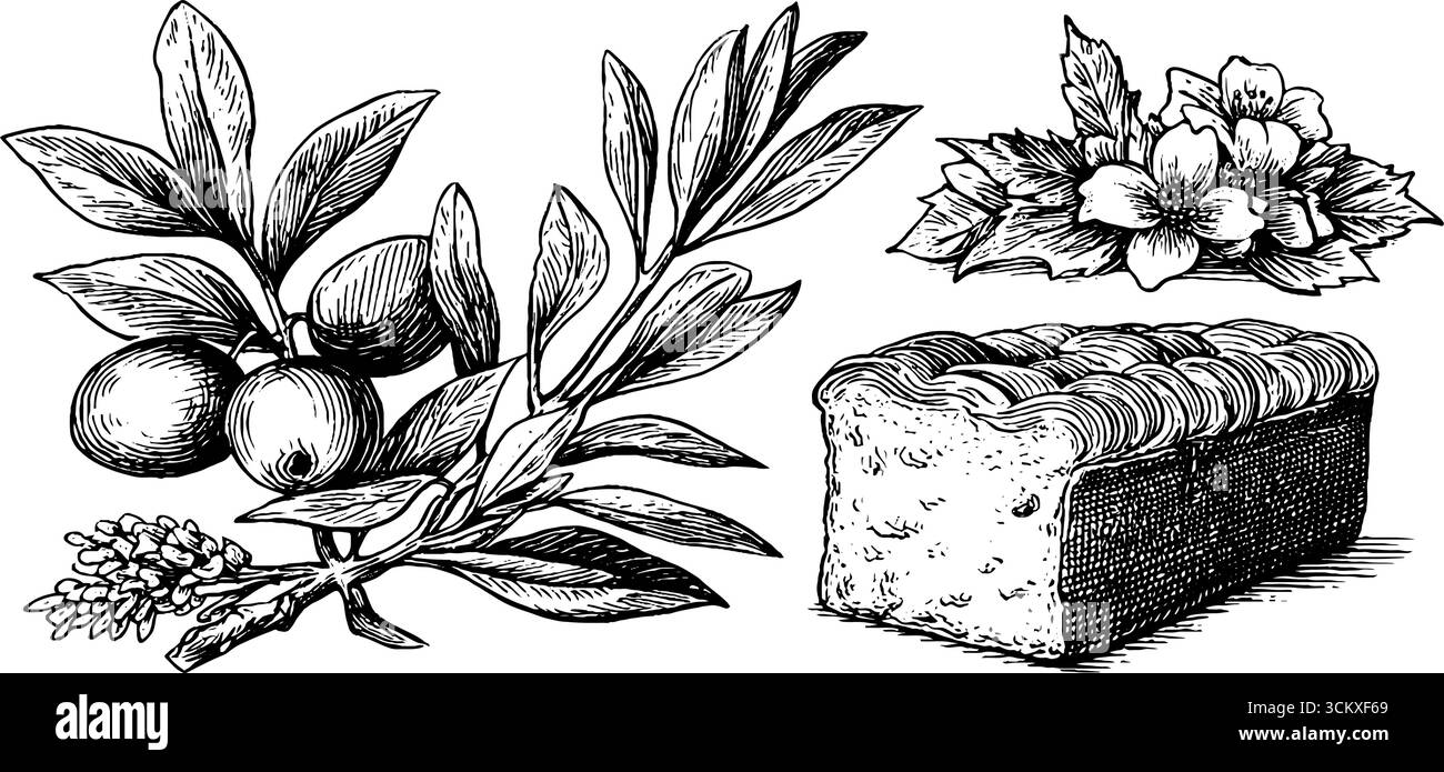 Pain d'olive grec ancien et éléments floraux victoriens pour un design culinaire et historique. Illustration de Vecteur