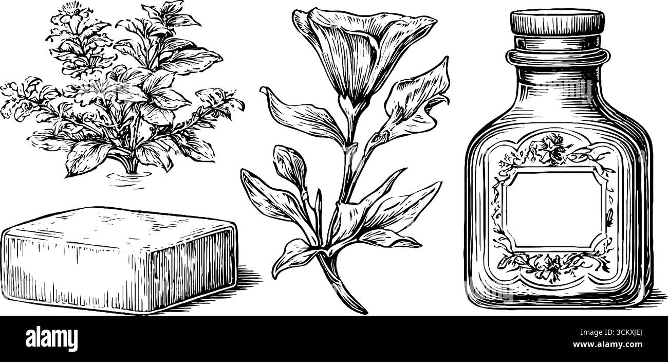 Motifs botaniques vintage avec bouteille de parfum, accents floraux et savon pour un décor élégant. Illustration de Vecteur