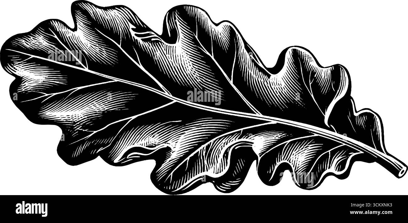 Feuille de vigne noire et blanche avec grande forme arrondie pour les concepts de design. Illustration de Vecteur