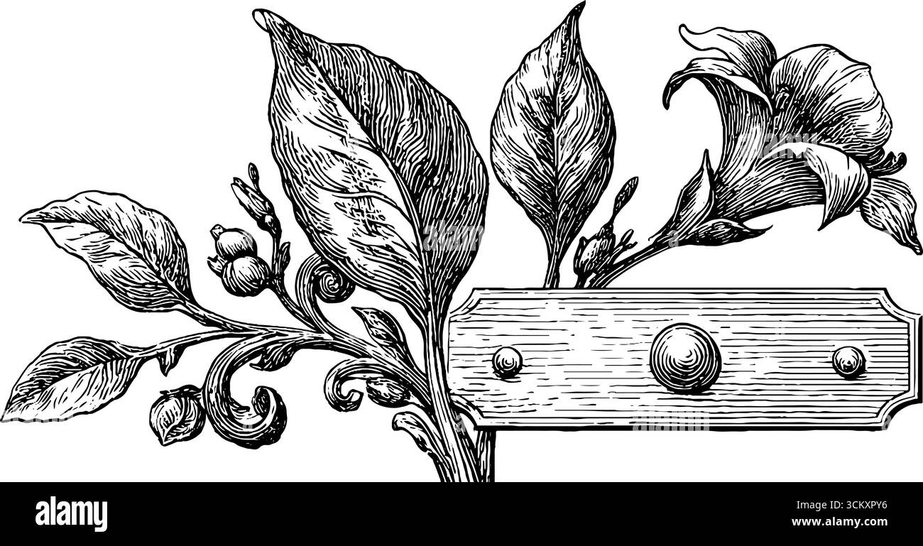 Torsadé en métal et plaque à rivets avec motif floral pour un design décoratif. Illustration de Vecteur