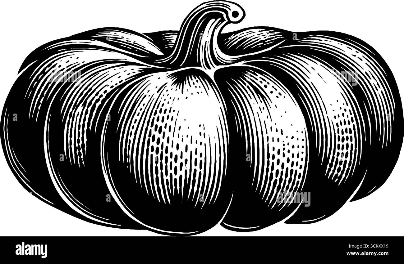 Illustration en noir et blanc d'une gourde écorchée bosselée sur fond de bois. Illustration de Vecteur