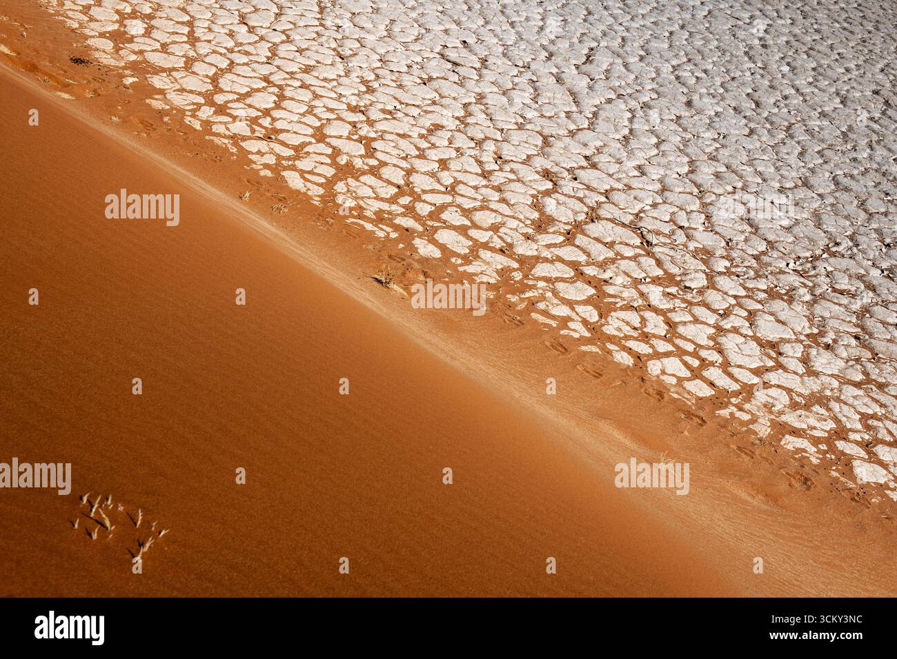 Dune orange contraste avec de la boue sèche blanche Banque D'Images
