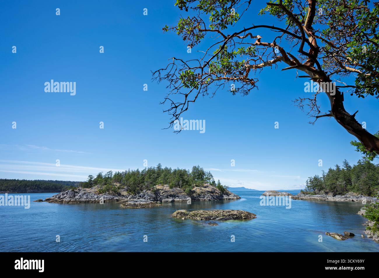 Parc provincial de Smugglers Cove sur la Sunshine Coast de la Colombie-Britannique, Canada. Banque D'Images