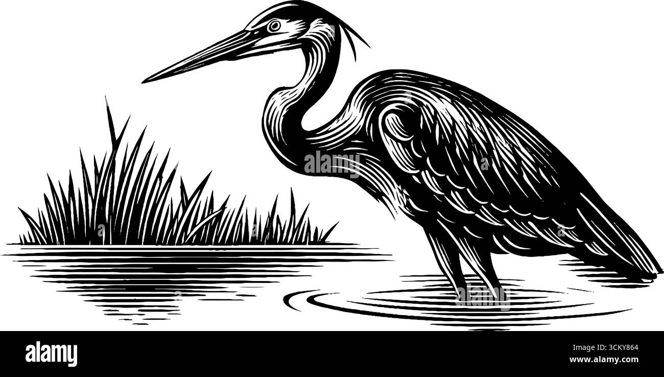 Grue majestueuse en eau peu profonde noir et blanc design pour les amoureux de la nature. Illustration de Vecteur