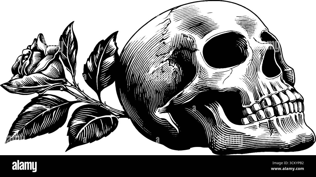 Crâne avec fleur émergeant de l'alvéole de l'oeil dans un design noir complexe pour un décor artistique. Illustration de Vecteur Crâne avec fleur émergeant de l'alvéole de l'oeil dans un design noir complexe pour un décor artistique. Illustration de Vecteur