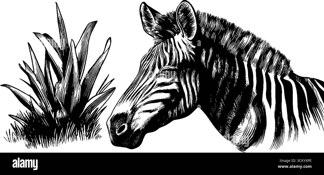 Silhouettes de zèbre et de sauterelle avec rayures zèbres et éléments de motif. Illustration de Vecteur