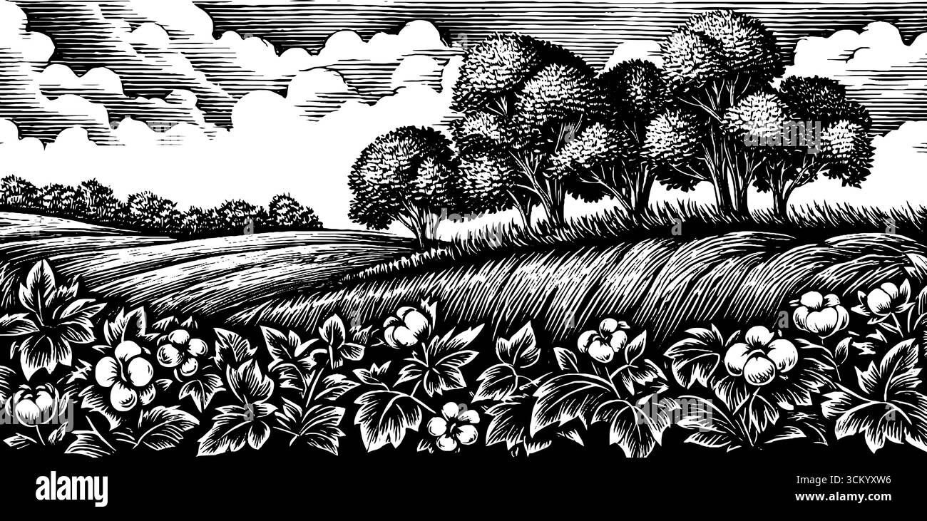 Paysage de champ de coton noir et blanc avec des arbres pour un design rétro. Illustration de Vecteur