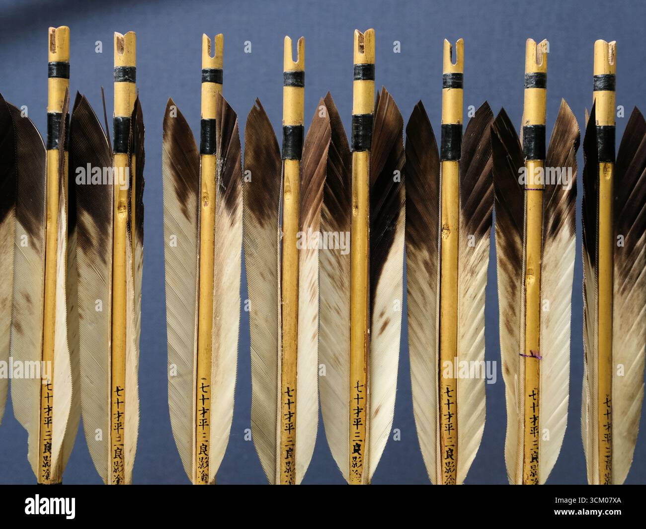 Rangée de crampons et flashage de plumes pour flèches perforantes de l'époque d'Edo (XIXe siècle) au Musée national de Tokyo au Japon ; armes de combat. Banque D'Images