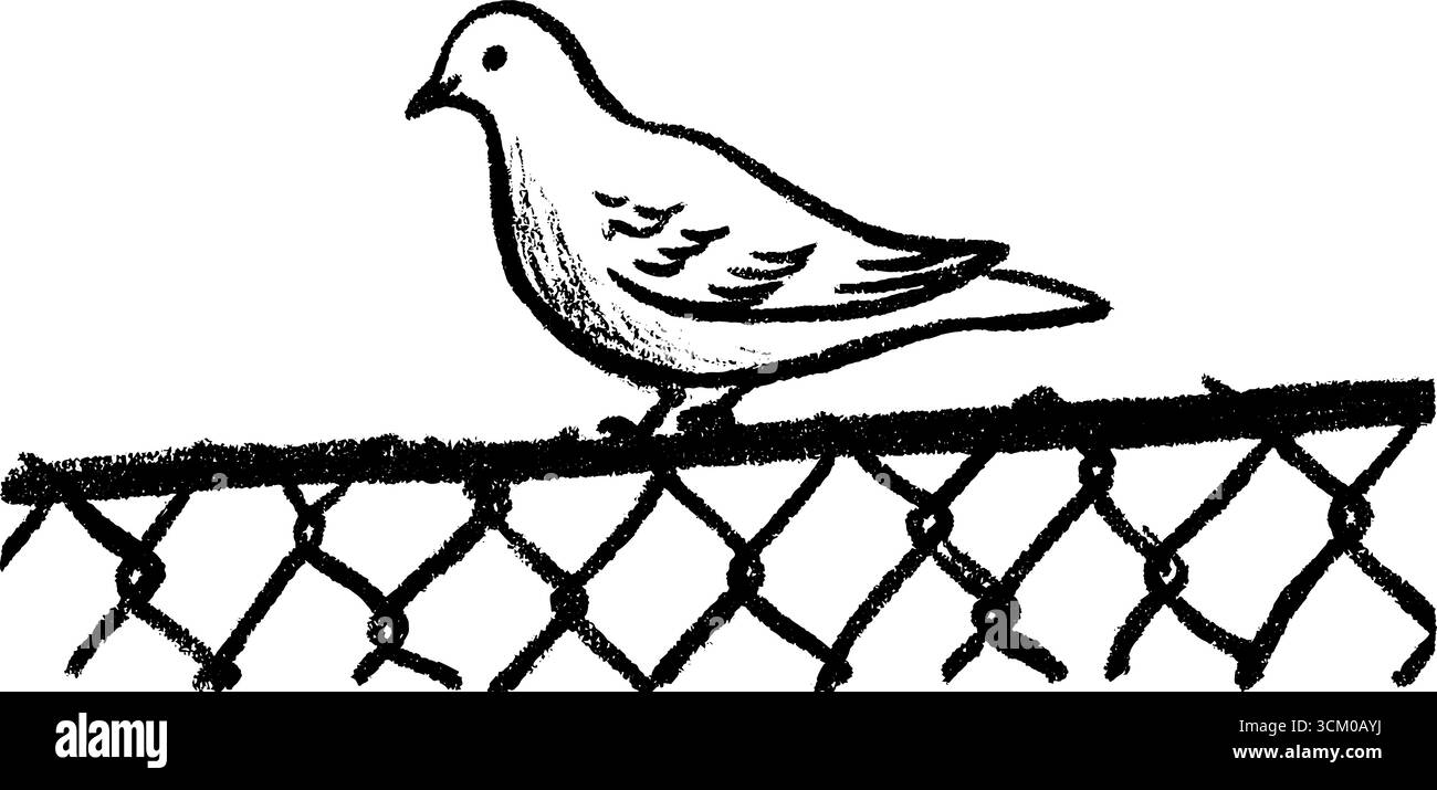 Croquis d'un oiseau reposant sur une clôture de parc. Illustration de Vecteur